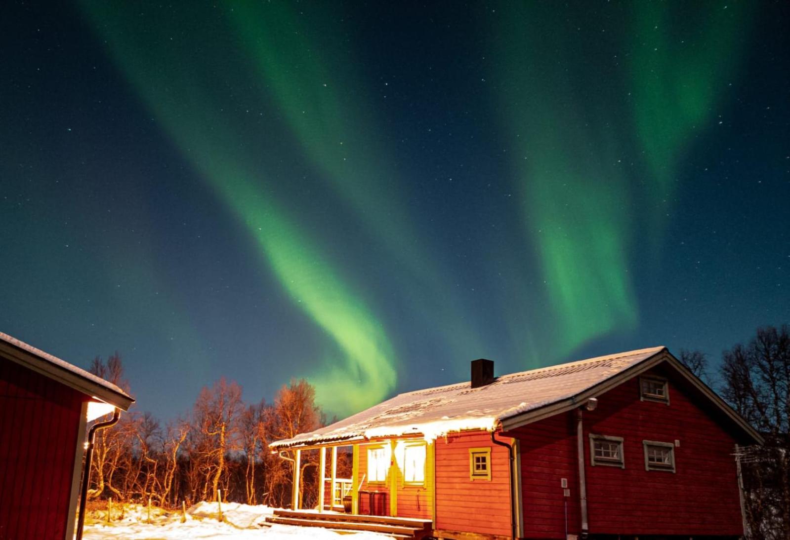 Semesterbostad Trivelig I Senja. Senja