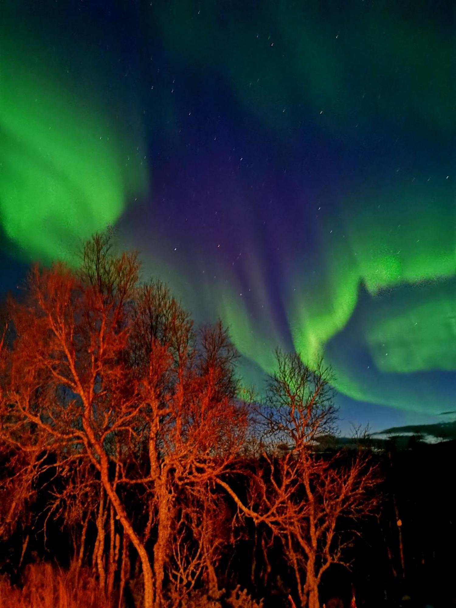 Trivelig I Senja.
