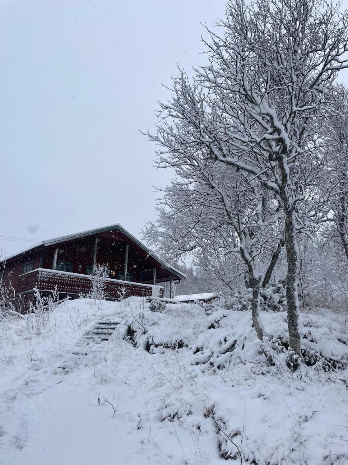Trivelig I Senja. Semesterbostad