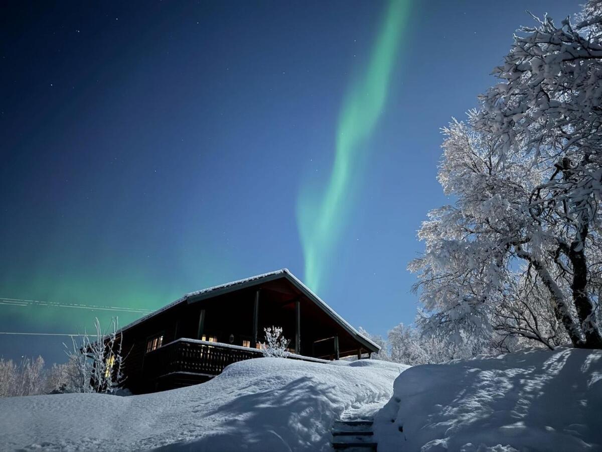Trivelig I Senja. Senja