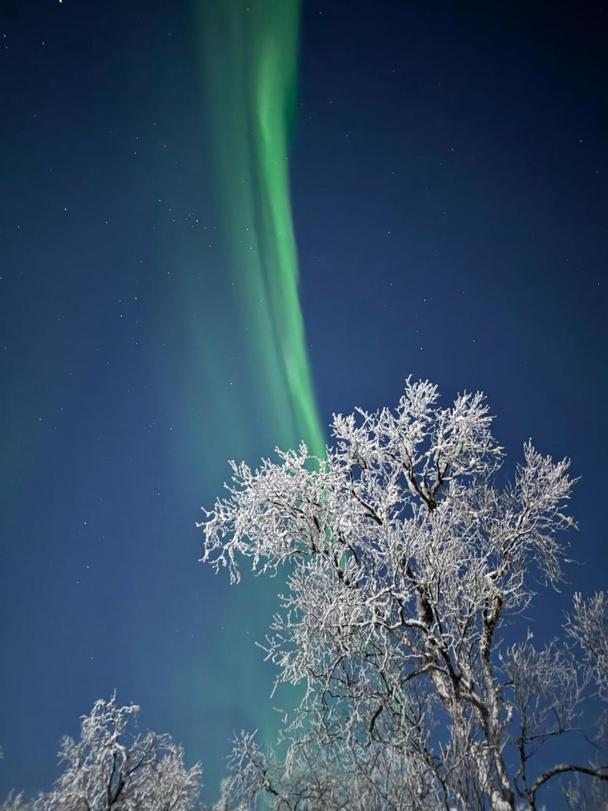Trivelig I Senja. Senja